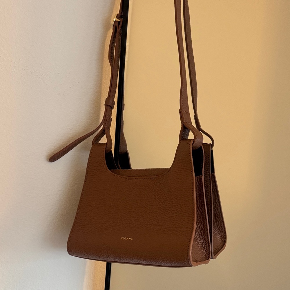 Cuyana mini double loop bag
